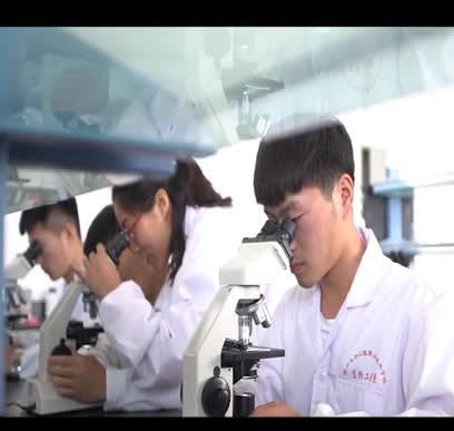 药品食品分院（原生物工程系）宣传片